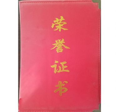 點擊查看詳細信息<br>標題：榮譽證書 閱讀次數(shù)：2273